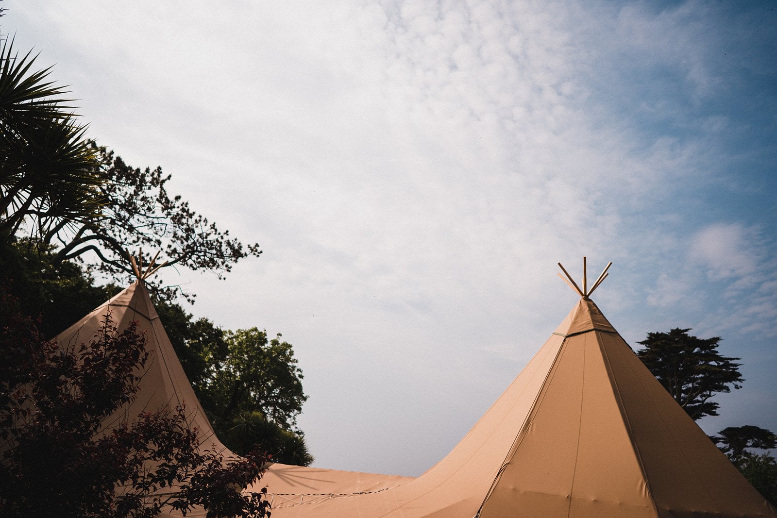 rosevine wedding photography